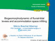 Research paper thumbnail of Biogeomorphodynamic of fluvial-tidal levees and accommodation space infilling