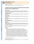 Research paper thumbnail of Cytoplasmic Amino Acids within the Membrane Interface Region Influence Connexin Oligomerization