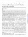 Research paper thumbnail of A Connexin50 Mutant, CX50fs, That Causes Cataracts Is Unstable, but Is Rescued by a Proteasomal Inhibitor