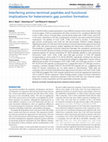 Research paper thumbnail of Interfering amino terminal peptides and functional implications for heteromeric gap junction formation