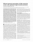 Research paper thumbnail of Efficient bacterial transcription of DNA nanocircle vectors with optimized single-stranded promoters