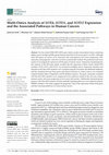 Research paper thumbnail of Multi-Omics Analysis of SOX4, SOX11, and SOX12 Expression and the Associated Pathways in Human Cancers