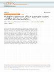 Research paper thumbnail of Multiplex suppression of four quadruplet codons via tRNA directed evolution