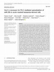 Research paper thumbnail of Vav1 is necessary for <scp>PU</scp> .1 mediated upmodulation of miR‐29b in acute myeloid leukaemia‐derived cells