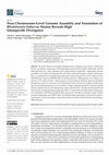 Research paper thumbnail of Near Chromosome-Level Genome Assembly and Annotation of Rhodotorula babjevae Strains Reveals High Intraspecific Divergence