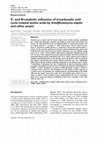 Research paper thumbnail of C- and N-catabolic utilization of tricarboxylic acid cycle-related amino acids by Scheffersomyces stipitis and other yeasts