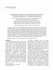 Research paper thumbnail of Morphological, biochemical and molecular characterization of Anabaena, Aphanizomenon and Nostoc strains (Cyanobacteria, Nostocales) isolated from Portuguese freshwater habitats