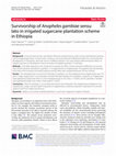 Research paper thumbnail of Survivorship of Anopheles gambiae sensu lato in irrigated sugarcane plantation scheme in Ethiopia