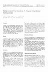 Research paper thumbnail of Marine nematodes from Guadeloupe: IX. The genus Metepsilonema (Epsilonematidae)