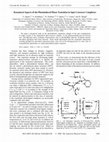 Research paper thumbnail of Dynamical Aspects of the Photoinduced Phase Transition in Spin-Crossover Complexes