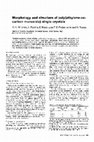 Research paper thumbnail of Morphology and structure of poly(ethylene-cocarbon monoxide) single crystals