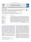 Research paper thumbnail of The drilosphere concept: Fine-scale incorporation of surface residue-derived N and C around natural Lumbricus terrestris burrows