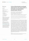 Research paper thumbnail of Induced Burkholderia prophages detected from the hemoculture: a biomarker for Burkholderia pseudomallei infection