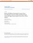 Research paper thumbnail of Bones of Puffinus Lherminieri Lesson (Aves: Procellaridae) and Two Other Vertebrates from Cueva Del Agua, Mona Island, Puerto Rico (West Indies)