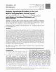 Research paper thumbnail of Isotopic Signatures of Carbon in the ‘Los Pobres’ Graphite Mine, Ronda, Spain