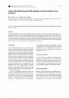 Research paper thumbnail of Sertoli cell proliferation and FSH signalling in African catfish, Clarias gariepinus