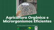 Research paper thumbnail of Agricultura Orgânica e Microrganismos Eficientes: aumento produtivo de forma sustentável