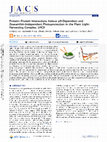 Research paper thumbnail of ProteinProtein Interactions Induce pH-Dependent and Zeaxanthin-Independent Photoprotection in the Plant Light-Harvesting Complex, LHCII