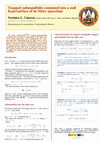 Research paper thumbnail of Trapped submanifolds contained into a null hypersurface of de Sitter spacetime