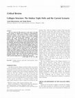 Research paper thumbnail of Collagen Structure: The Madras Triple Helix and the Current Scenario