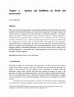 Research paper thumbnail of Chapter 2 -Spinoza and Buddhism on Death and Immortality 1