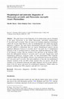 Research paper thumbnail of Morphological and molecular diagnostics of Phytoseiulus persimilis and Phytoseiulus macropilis (Acari: Phytoseiidae)