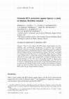 Research paper thumbnail of Neonatal BCG protection against leprosy: a study in Manaus, Brazilian Amazon