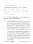 Research paper thumbnail of QUIÉN FUE ENTERRADO EN EL SARCÓFAGO FENICIO ANTROPOIDE MASCULINO DE GADIR (CÁDIZ)? Who is buried into the Phoenician Male Anthropoid Sarcophagus of Gadir (Cádiz