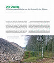 Research paper thumbnail of Die Oppida. Mitteleuropas Städte vor der Ankunft der Römer