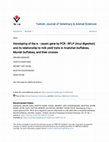 Research paper thumbnail of Genotyping of the κ - casein gene by PCR - RFLP (AcuI digestion) and its relationship to milk yield traits in Anatolian buffaloes, Murrah buffaloes, and their crosses