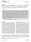 Research paper thumbnail of Role of Caspase-10-P13tBID axis in erythropoiesis regulation