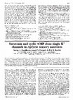 Research paper thumbnail of Serotonin and cyclic AMP close single K+ channels in Aplysia sensory neurones