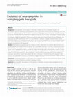 Research paper thumbnail of Evolution of neuropeptides in non-pterygote hexapods