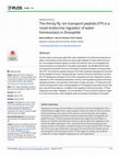 Research paper thumbnail of The thirsty fly: Ion transport peptide (ITP) is a novel endocrine regulator of water homeostasis in Drosophila