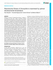 Research paper thumbnail of Reproductive fitness of <i>Drosophila</i> is maximised by optimal developmental temperature