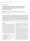 Research paper thumbnail of Astroglial Glutamate–Glutamine Shuttle Is Involved in Central Sensitization of Nociceptive Neurons in Rat Medullary Dorsal Horn