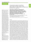 Research paper thumbnail of Transcriptomic analysis of sym28 and sym29 supernodulating mutants of pea (Pisum sativum L.) under complex inoculation with beneficial microorganisms