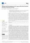 Research paper thumbnail of Structure and Development of the Legume-Rhizobial Symbiotic Interface in Infection Threads