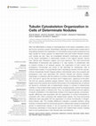 Research paper thumbnail of Tubulin Cytoskeleton Organization in Cells of Determinate Nodules