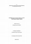 Research paper thumbnail of Bildirişim Aracı Olarak İç Mekan Tasarımı: Gösterge Kavramı Kapsamında ''2015 Evrensel Sergisi'' Örneği