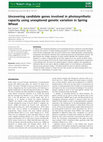 Research paper thumbnail of Uncovering candidate genes involved in photosynthetic capacity using unexplored genetic variation in Spring Wheat