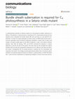 Research paper thumbnail of Bundle sheath suberisation is required for C4 photosynthesis in a Setaria viridis mutant