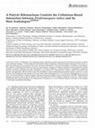 Research paper thumbnail of A poly(A) ribonuclease controls the cellotriose-based interaction between Piriformospora indica and its host Arabidopsis