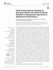 Research paper thumbnail of Pistil Transcriptome Analysis to Disclose Genes and Gene Products Related to Aposporous Apomixis in Hypericum perforatum L