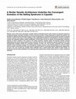 Research paper thumbnail of A Similar Genetic Architecture Underlies the Convergent Evolution of the Selfing Syndrome in Capsella