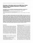 Research paper thumbnail of Promoters of the Barley Germin-LikeGER4Gene Cluster Enable Strong Transgene Expression in Response to Pathogen Attack  