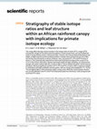 Research paper thumbnail of Stratigraphy of stable isotope ratios and leaf structure within an African rainforest canopy with implications for primate isotope ecology