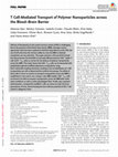 Research paper thumbnail of T Cell‐Mediated Transport of Polymer Nanoparticles across the Blood–Brain Barrier