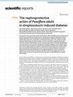 Research paper thumbnail of The nephroprotective action of Passiflora edulis in streptozotocin-induced diabetes