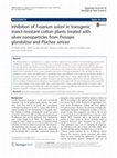 Research paper thumbnail of Inhibition of Fusarium solani in transgenic insect-resistant cotton plants treated with silver nanoparticles from Prosopis glandulosa and Pluchea sericea